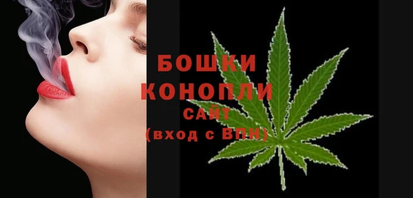 ПСИЛОЦИБИНОВЫЕ ГРИБЫ Богородицк
