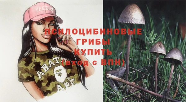 ПСИЛОЦИБИНОВЫЕ ГРИБЫ Богородицк