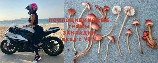 ПСИЛОЦИБИНОВЫЕ ГРИБЫ Богородицк