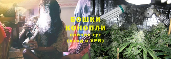 дживик Богданович