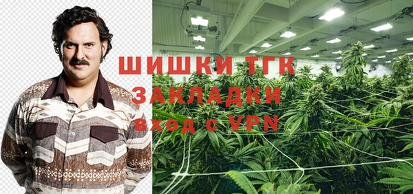 дживик Богданович