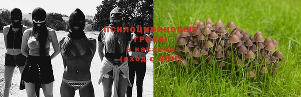 ALPHA PVP Богородск