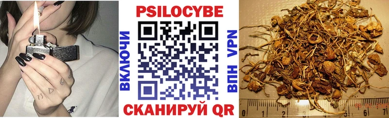цены   блэк спрут онион  Псилоцибиновые грибы Cubensis  Верхотурье 